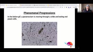 K 12 Progressions in NGSS Assessments