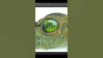 Digital Drawing on Wacom Cintiq - "The Eye" TimeLapse Painting #digitalart #timelapse #wacom