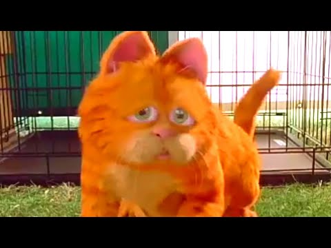 Garfield: O Filme (Dublado) – Filmes no Google Play