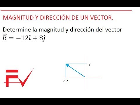 Video: ¿La magnitud tiene dirección?