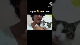 Si Tú Tienes Muchas Ganas De Hacer Miau