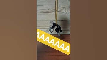 Transformers Stopmotion fails 1: Ravage #stopmotion #animation #fyp #blokeestransformers #memes