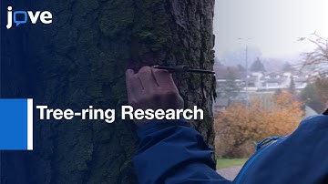 Dendroecological and Wood Anatomical Challenges: Tree-ring Research | Protocol Preview