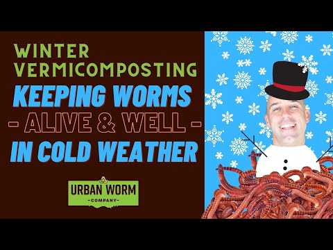 Video: Winter Worm Composting - Tips For Worm Farming I Cold Weather