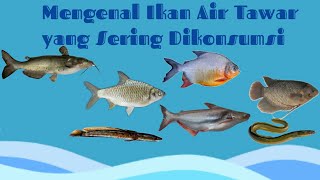 MENGENAL IKAN AIR TAWAR YG SERING DIKONSUMSI