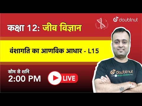 वीडियो: जनरल वाई डोगमा: शहरी पालतू जानवर के लिए शीर्ष 5 क्रिसमस ईटीई पिक