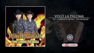 Los Nuevos Relampagos - Volo la Paloma  ( Audio Oficial ) chords