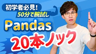 【Pandas徹底講座】この動画1本でデータ操作に特化したPythonライブラリPandasの基礎をマスター！