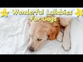 Dog Music Sleep Music For Puppies ♫ Wonderful Lullaby Relax Your Golden Retriever ♥ Lullaby For Pets