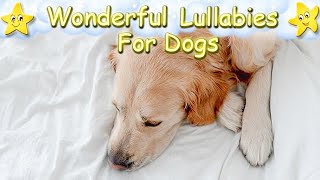 Dog Music Sleep Music For Puppies ♫ Wonderful Lullaby Relax Your Golden Retriever ♥