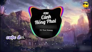[Karaoke] Cánh Hồng Phai (Remix) - Trấn Thành, Dj Thái Hoàng