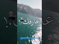 كلمه بحبك أصعب كلمه ع لساني 