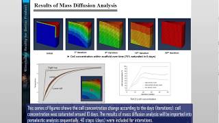 ABAQUS tutorial | Bone Healing Analysis using Mechano-Regulation Theory
