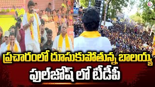 Balakrishna Election Campaigning in AP | 2024 Elections | TDP Janasena BJP | Chandrababu