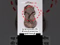 यह महाभारत कालीन में भीम की चप्पल है #mahabharat #shorts #temple