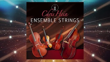 Chris Hein Ensemble Strings - Details | Best Service