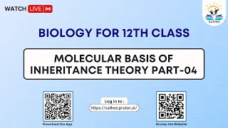 Biology Class 12th | Molecular basis of Inheritance Theory Part-04