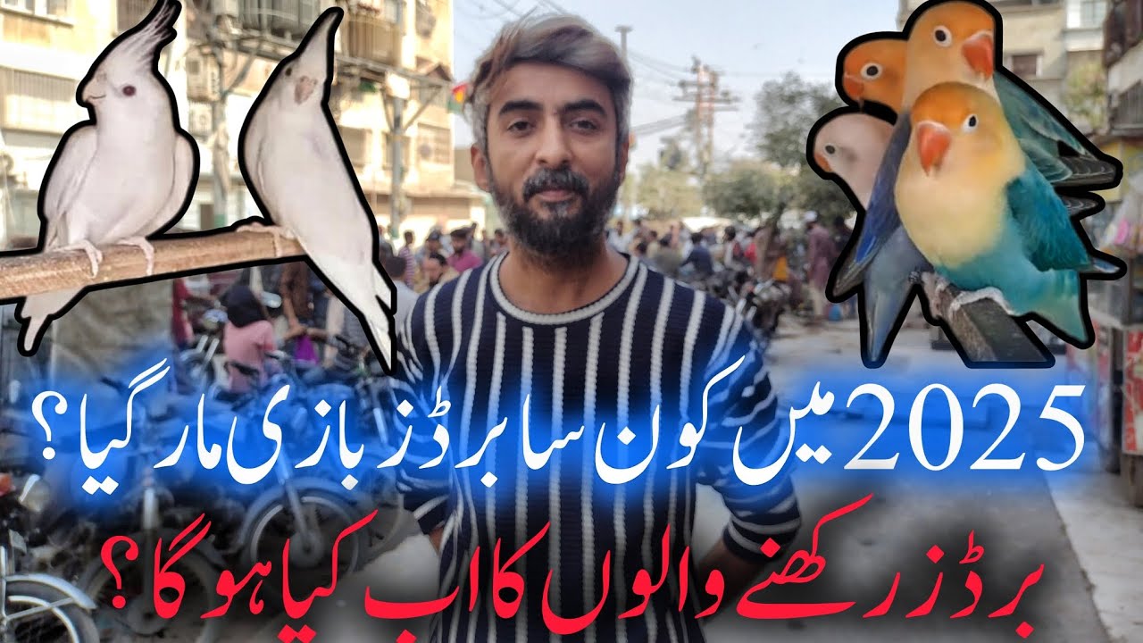 Основные прибыльные птицы Конса в 2026 году | Фермы птиц в Пакистане | Обзор экспорта птиц