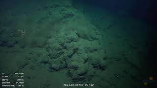 World Ocean Day stream from Fuente Seamount | SOI Divestream 532 - Part 3