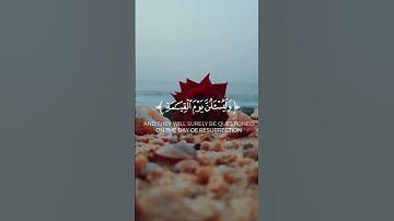 وَلَيَحْمِلُنَّ أَثْقَالَهُمْ وَأَثْقَالًا مَعَ أَثْقَالِهِمْ ۖ..|#سورة_العنكبوت #شريف_مصطفى