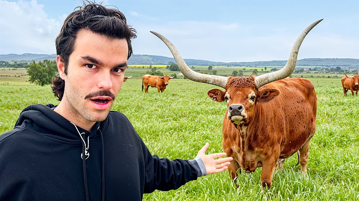 El Capricho: La Carne Más Espectacular del Mundo