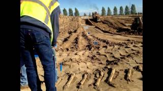 Radiodetection