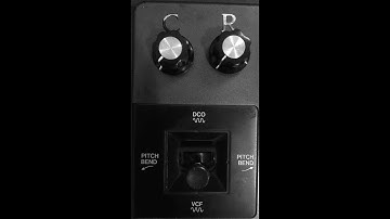 GUTS POLY-800 w/ Moog Slayer Mod + FM Mod