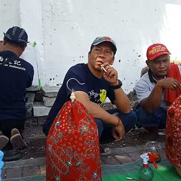 Pleci auriventer Surabaya WPT anniv cup1 #Kalibokor