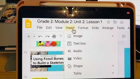Share Portion of Screen in Zoom