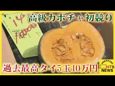 大浜みやこ」ブランドカボチャ初競り 過去最高タイの5玉10万円で落札