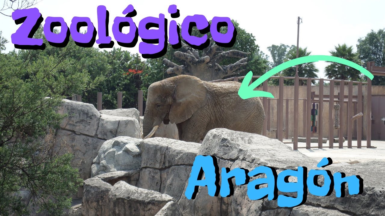 Zoológico de Aragón Ciudad de México
