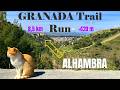One of THE MOST EPIC Trail Runs in Granada 🏃‍♂️🏰 | Alhambra Views | 4K POV