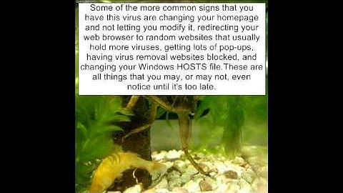 Watch Google Redirect Virus Removal Instructions