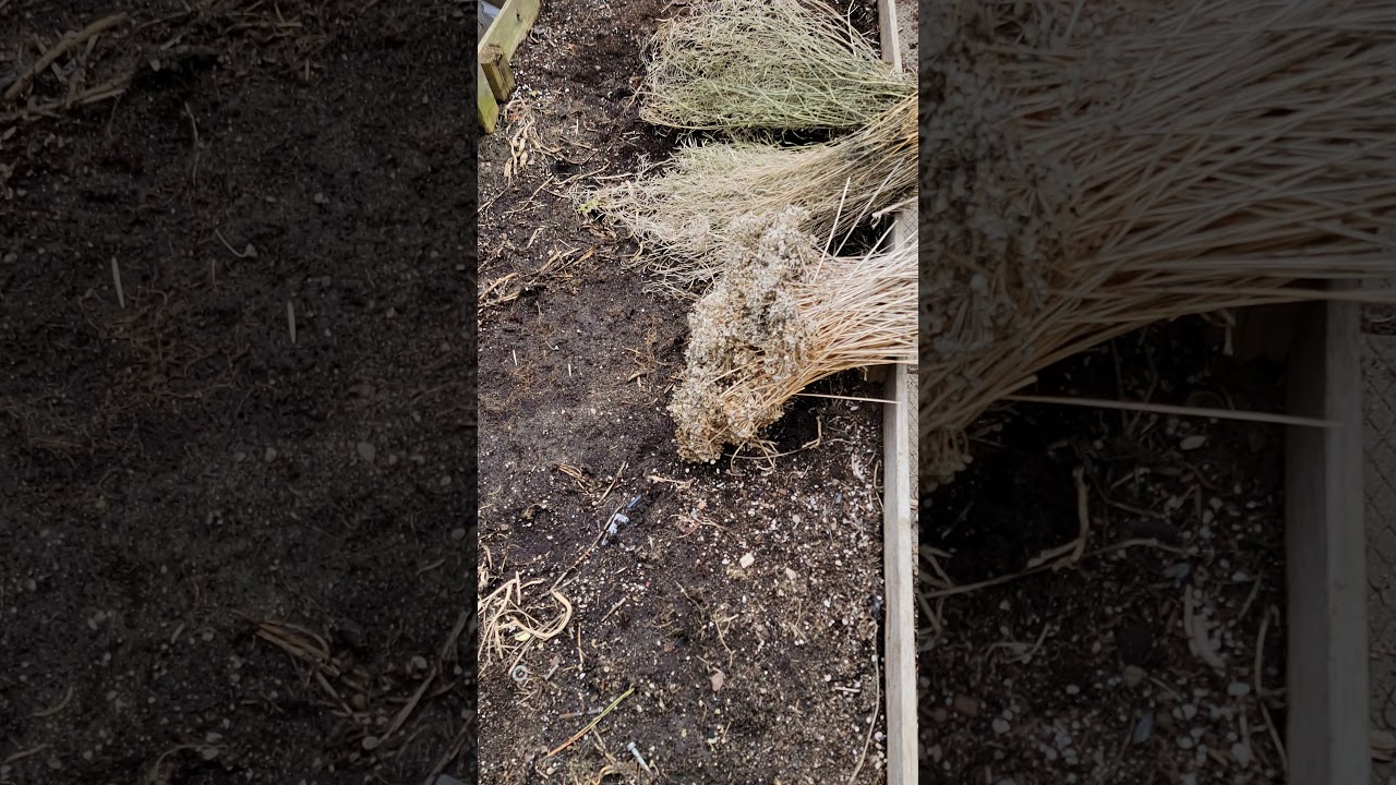 ☆Getting Ready For the 2021  OutDoor Grow☆