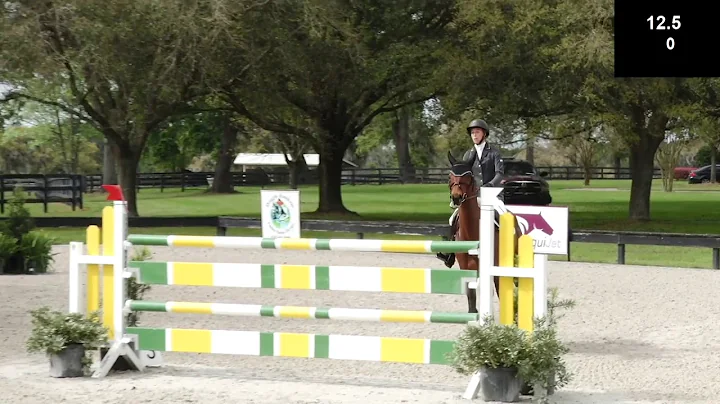 Cornelia Dorr SJ on Daytona at the 2019 Ocala Hors...