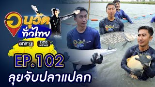 ลุยจับปลาแปลกนำเข้าราคาหลักแสน | อนุวัตทั่วไทย | EP 102 | ข่าวช่องวัน | one31