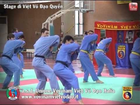 Viet Vo Dao Quyen - Stage M Nguyen Van Chieu a Mil...