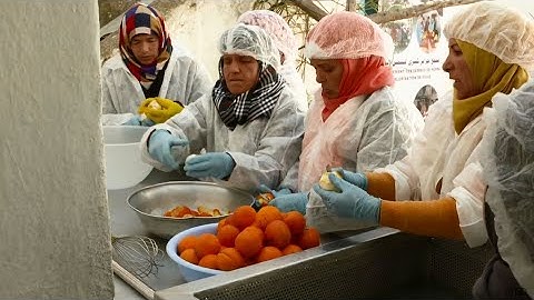 Cooperatives for decent work - International Day of Cooperatives 2019