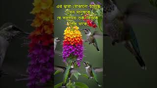 আল্লাহর নিকট সবচেয়ে ঘৃণিত মানুষ কে? #ইসলামে চরিত্র #ঝগড়াটে ব্যক্তি #islamicstorybangla