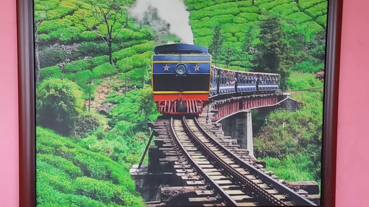 how to travel to ooty from coimbatore