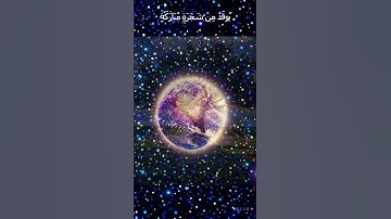 سورة النور ،#تلاوات رائعة  #قرآن كريم # راحة نفسية#