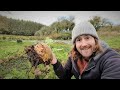 Top 10 Vegetables to Grow and Harvest in Winter