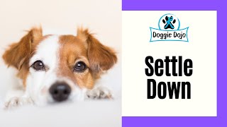 Train Your Dog To Settle Down by Trevor Smith - Doggie Dojo 781 views 3 years ago 2 minutes, 23 seconds