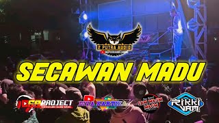 DJ SECAWAN MADU BY RIKKI VAMS 69 PROJECT || PERFOME DIVA KARTIKA CHANNEL FT DUA PUTRA CHANNEL ||