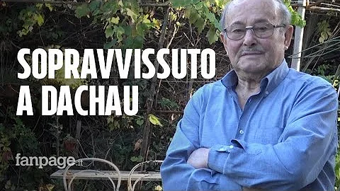Cosa disse Einstein sulla guerra?