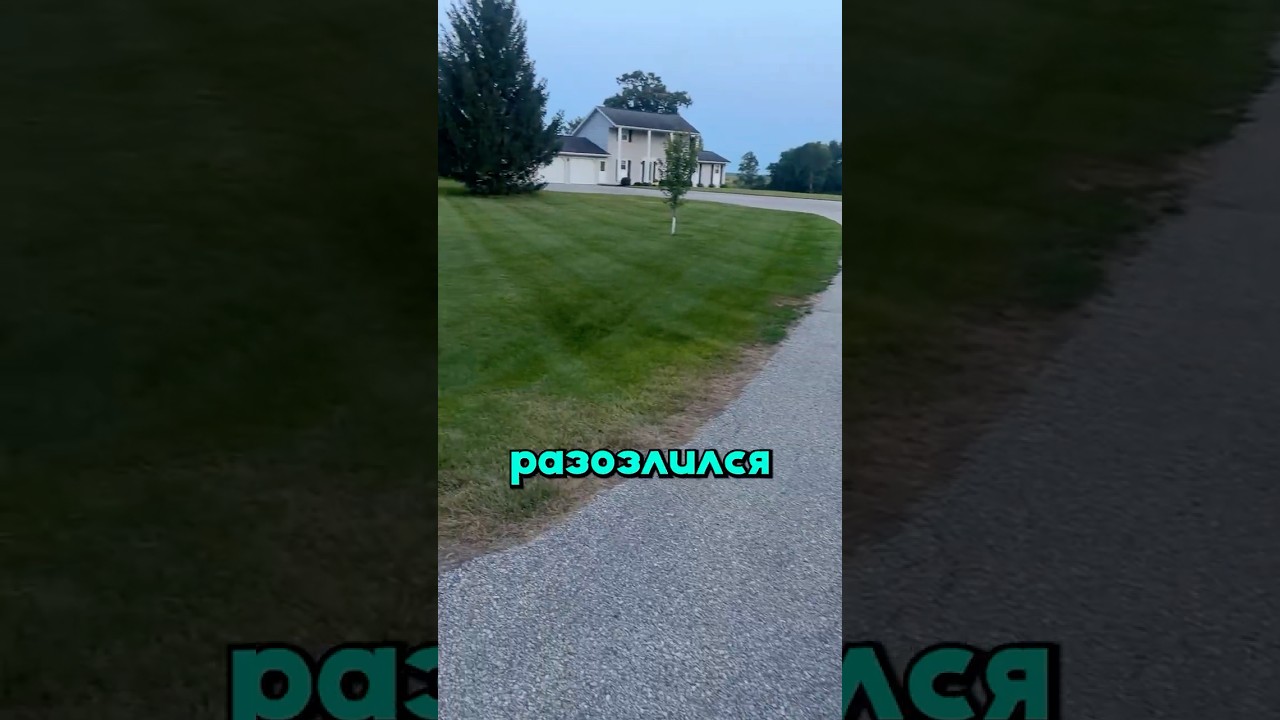 Подстриг газон, но клиентка отказывается платить! Что делать?😤