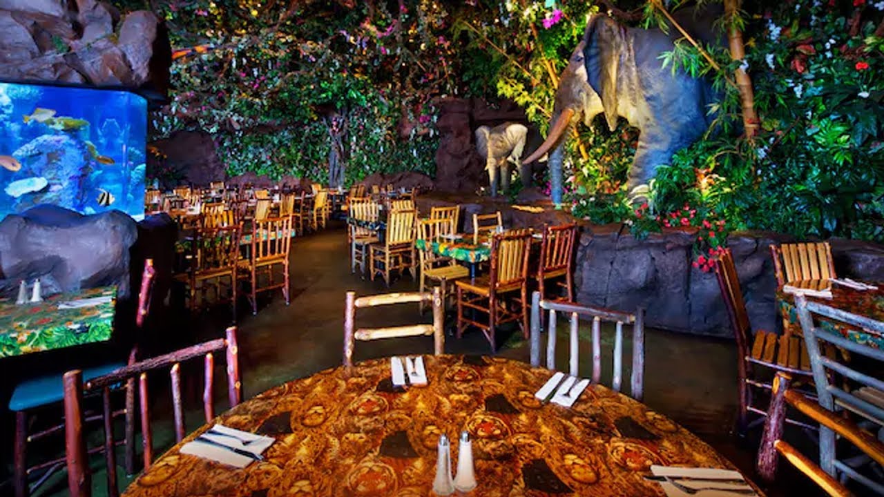 [4K] Rainforest Cafe Disney's Animal Kingdom YouTube