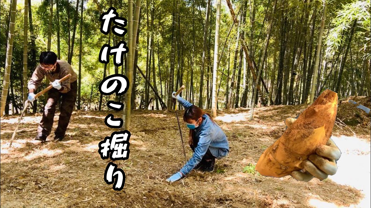 △筍掘り名人△様確認用 △筍掘り名人△様確認用