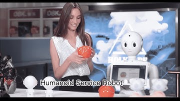 Reeman Commercial Humanoid Service Robot丨Interaction Robot丨Guide Robot