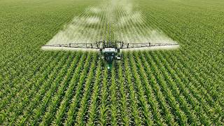 How and Why we Spray Fungicide on our Corn Crop